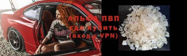 гидра Алексеевка