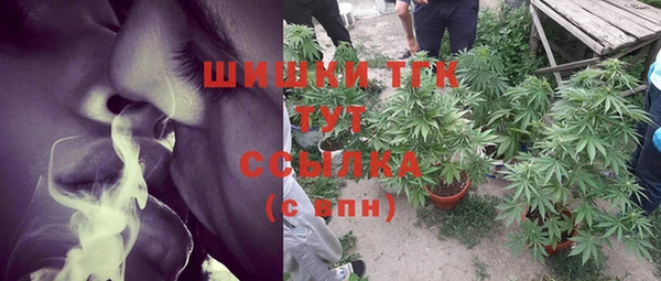 гидра Алексеевка