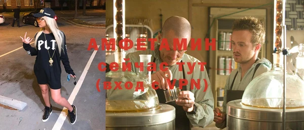 гидра Алексеевка