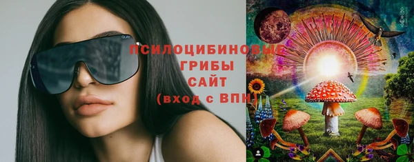 меф Алексин