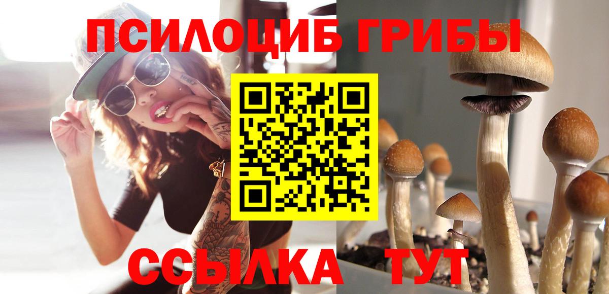 Галлюциногенные грибы Cubensis Глазов