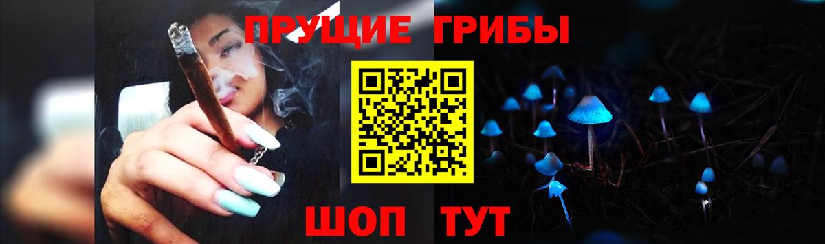 Глазов  Псилоцибиновые грибы Psilocybine cubensis  Вход с VPN 